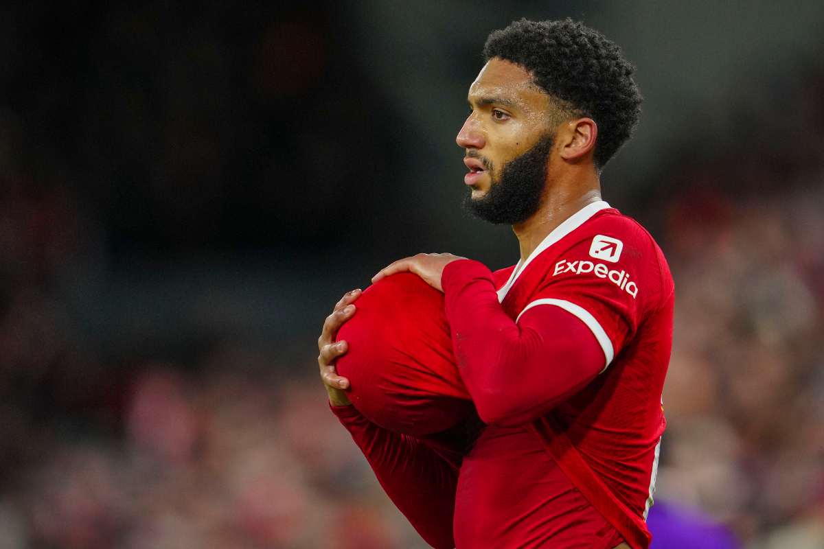Milan Joe Gomez